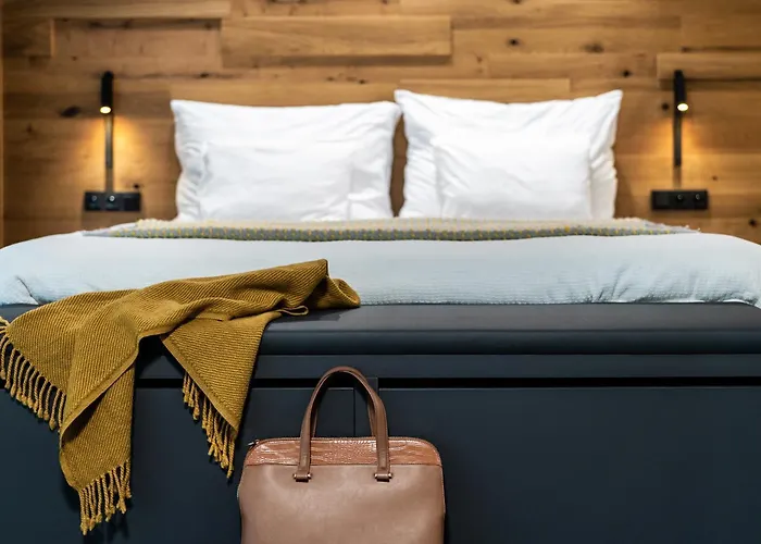 Rezidence Alpina アパート スピンドレルフ・ムリン